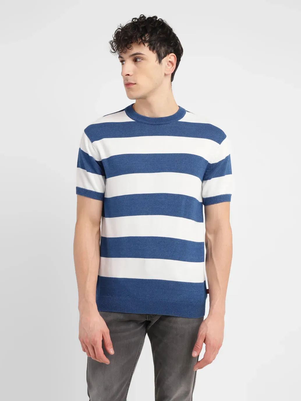 Men's Striped Blue Crew Neck Sweater