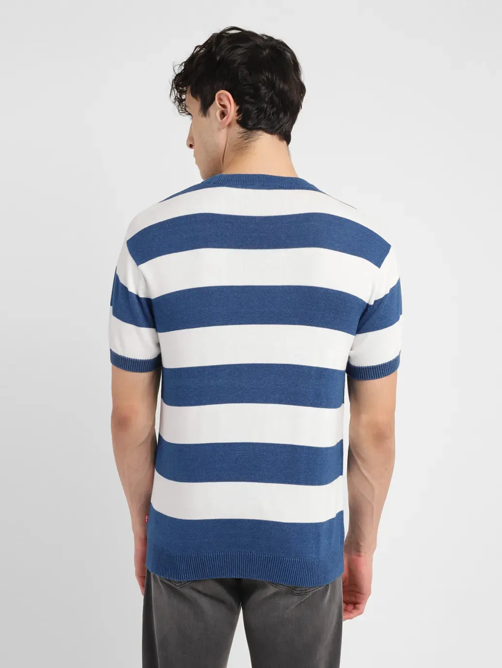 Men's Striped Blue Crew Neck Sweater