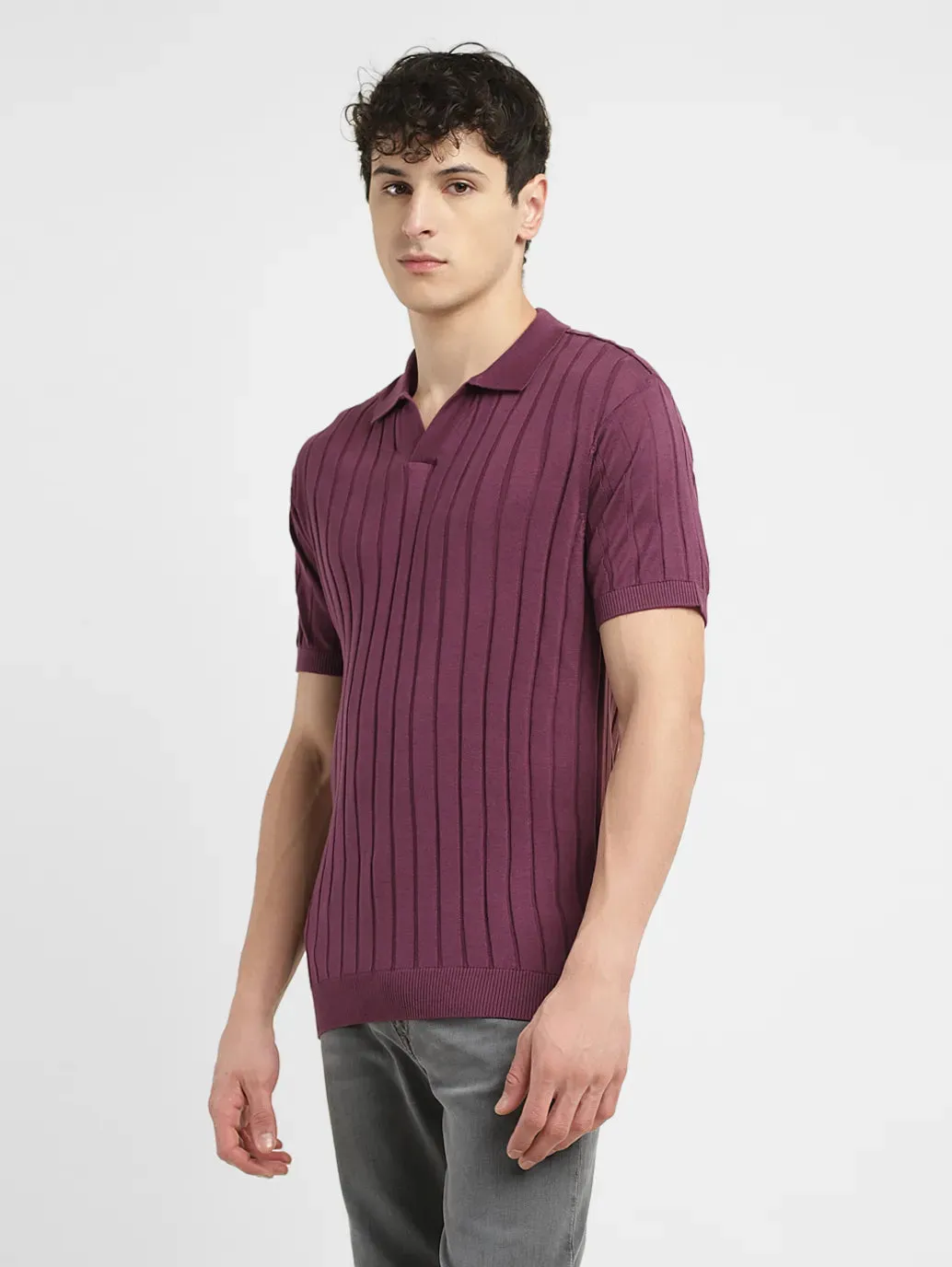 Men's Striped Purple Polo Collar Sweater