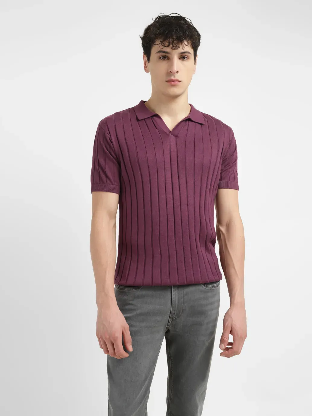 Men's Striped Purple Polo Collar Sweater